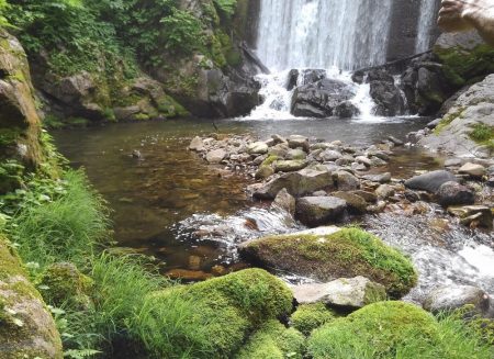 渓流ミノーイング ～九頭竜川水系～